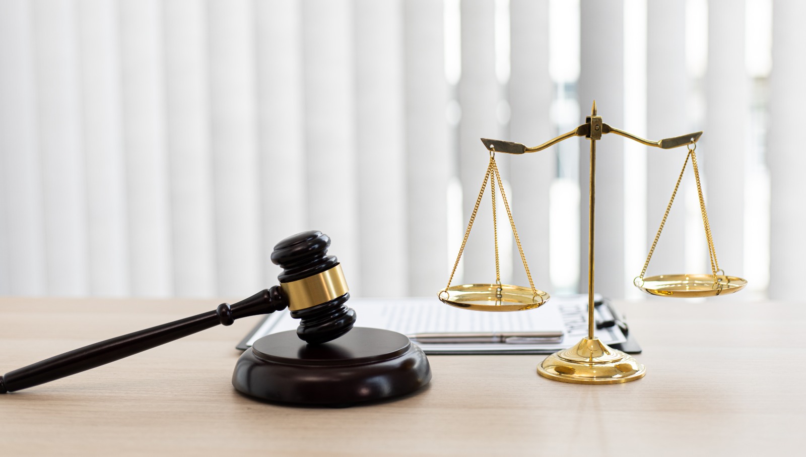 WhatsApp Image 2025 03 15 at 11 14 29 AM